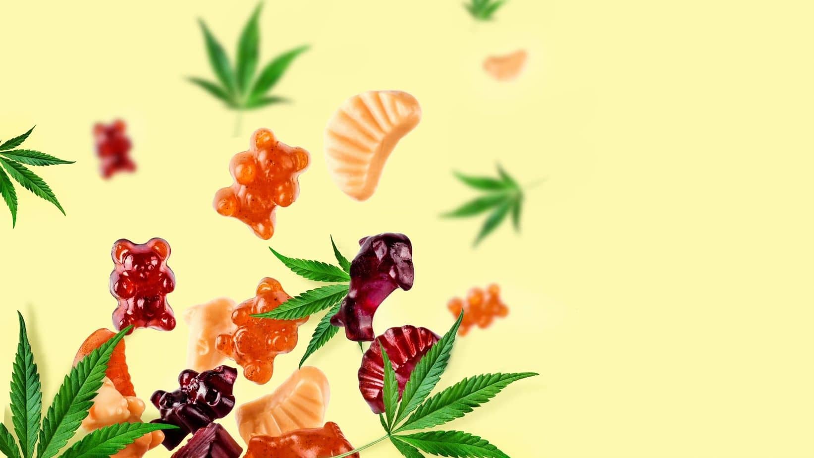 The Future for Edibles in Canada: Gummies, Drinks, and Regulatory Changes