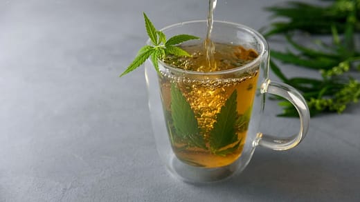 cannabis tea, getting poured into a glass
