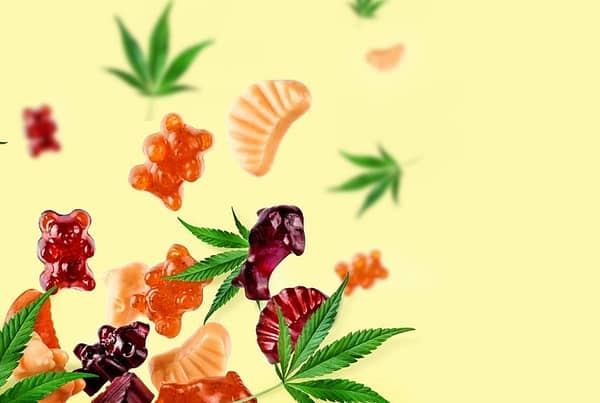 weed leaves and gummies on yellow background