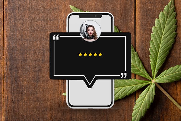 cannabis store google review