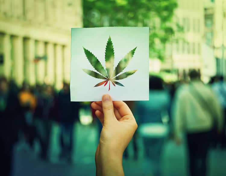 cannabis_pos