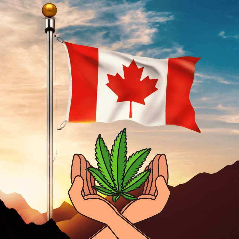 Cannabis Legalization in Canada