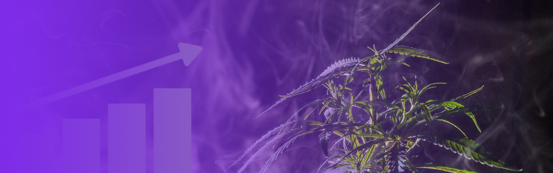 2022 Canadian Cannabis Market Update