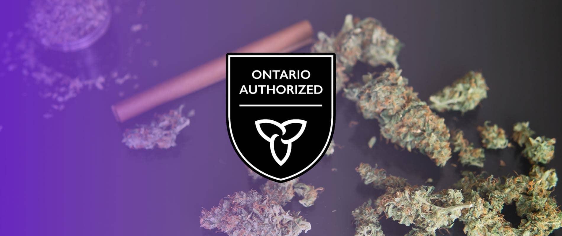How to Open a Cannabis Retail Store in Ontario