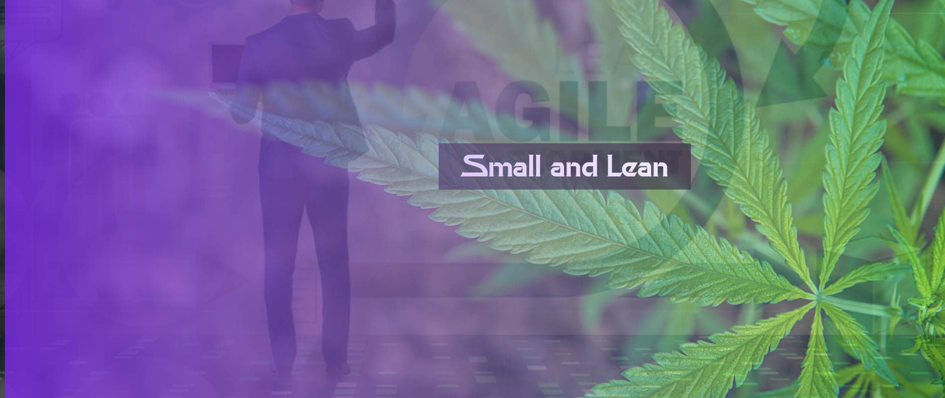 Dispensary Business Strategy: How Small Stores Can Compete with Big Cannabis