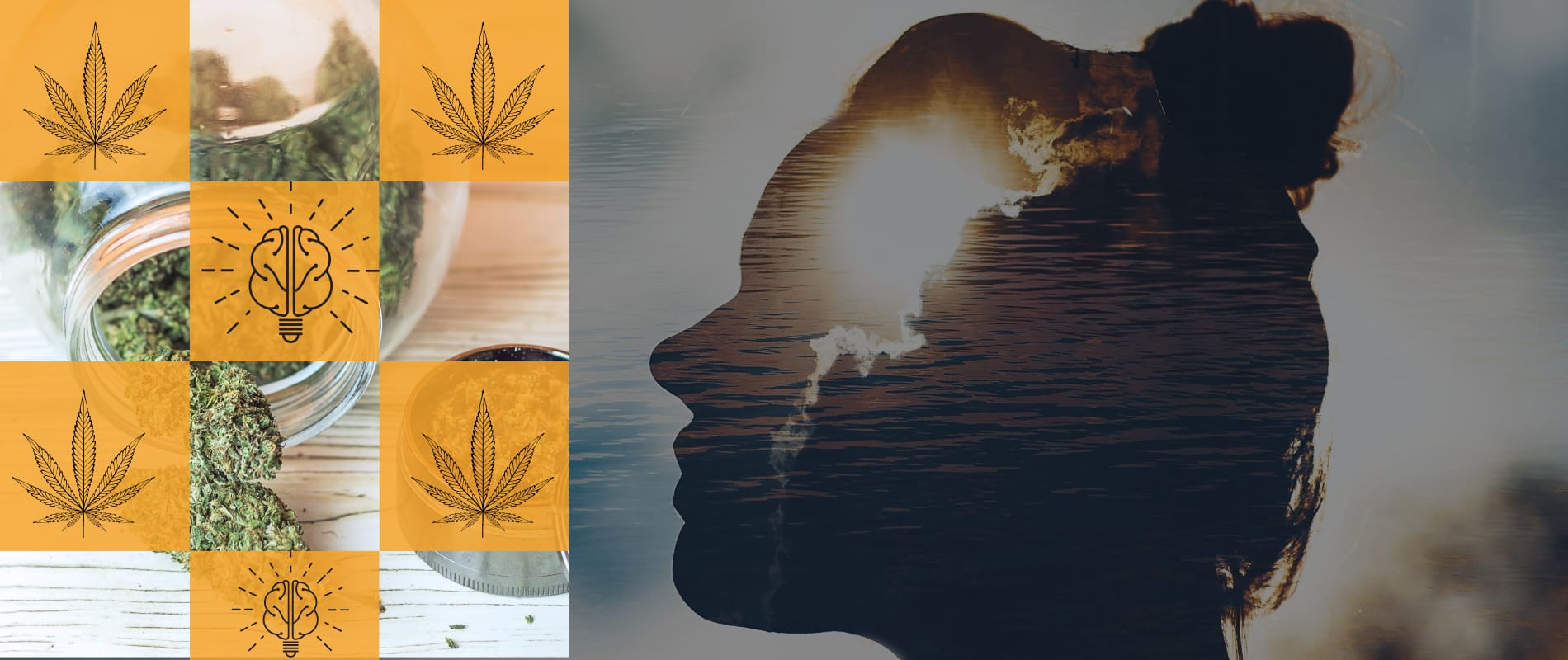 Introducing Menu Tactics and Psychology for Cannabis Retailers