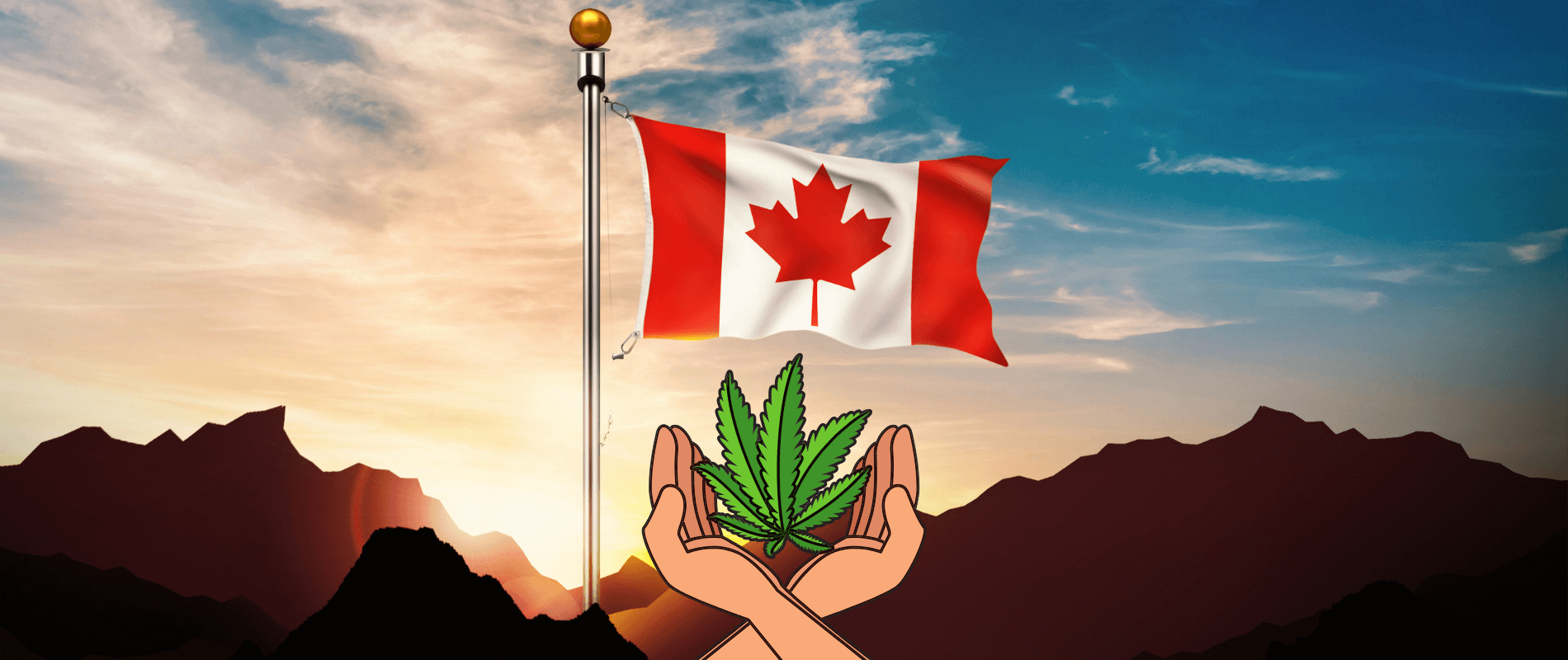 The Green Revolution: Celebrating 5 Years of Cannabis Legalization in Canada