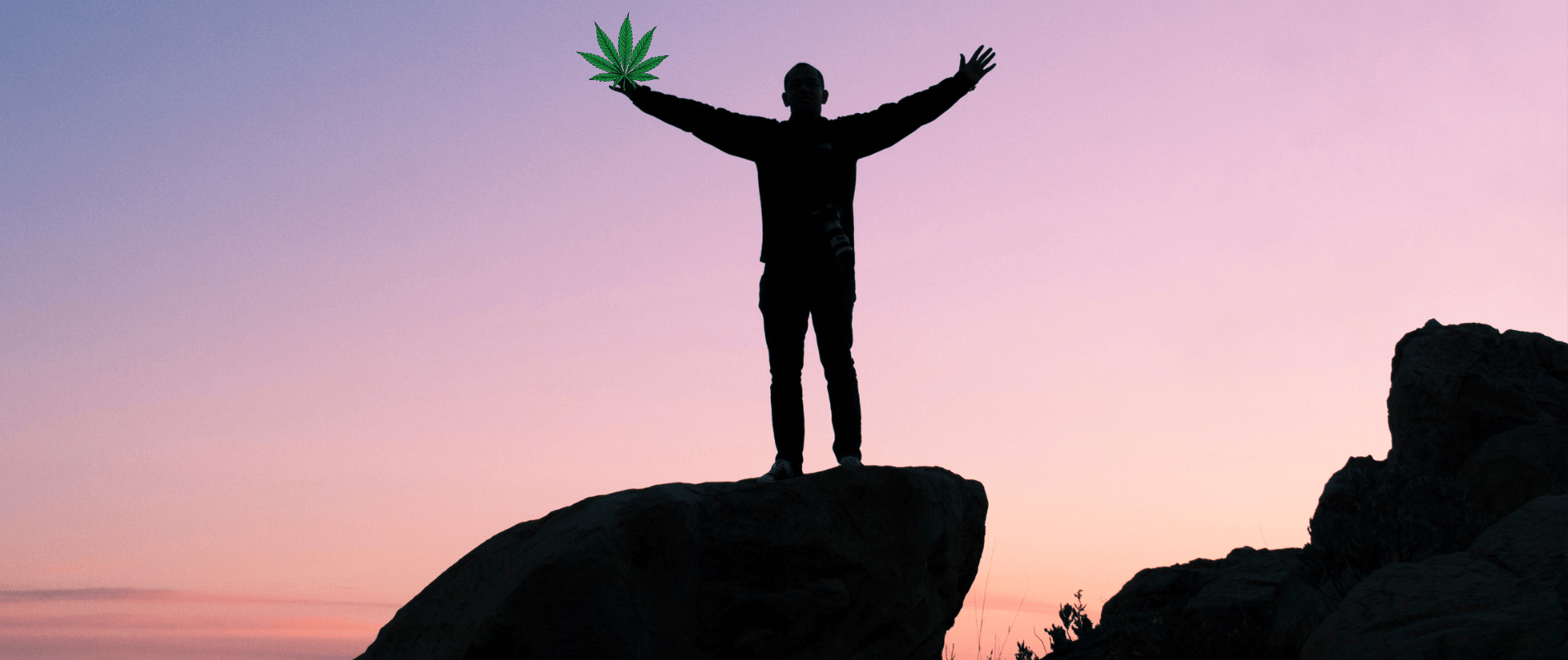 Don’t Get High and Dry: How TechPOS Can Propel Your Cannabis Retail Success